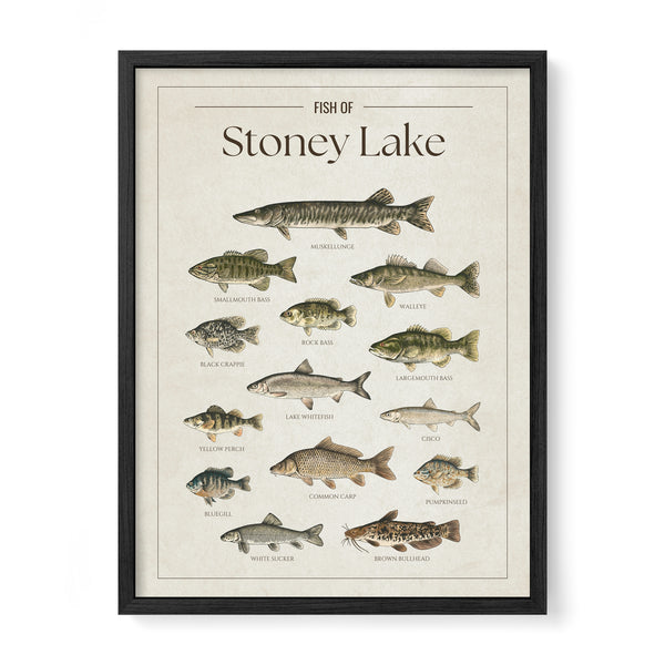 Stoney Lake Print