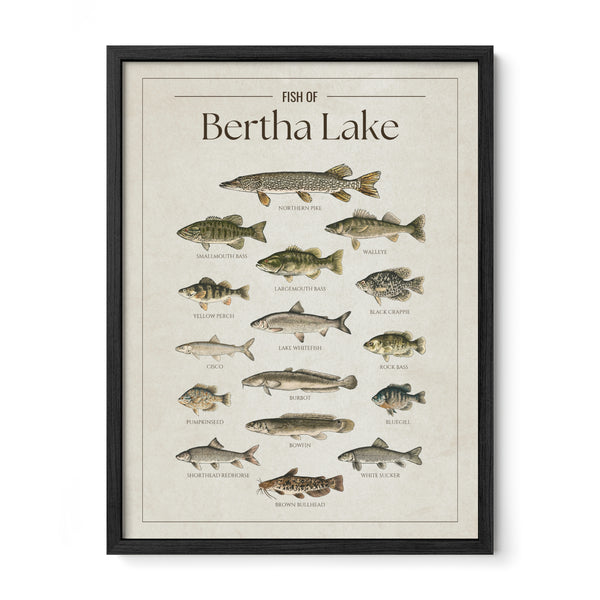 Bertha Lake Print