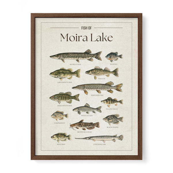 Moira Lake Print