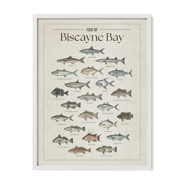 Biscayne Bay Print