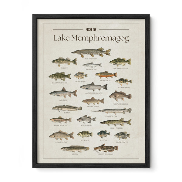 Lake Memphremagog Print