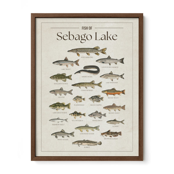 Sebago Lake Print