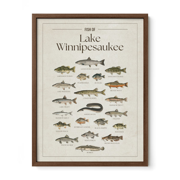 Lake Winnipesaukee Print