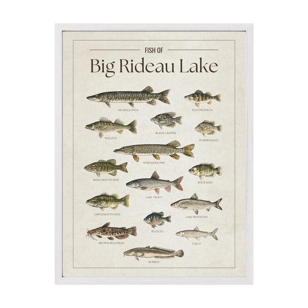 Big Rideau Lake Print