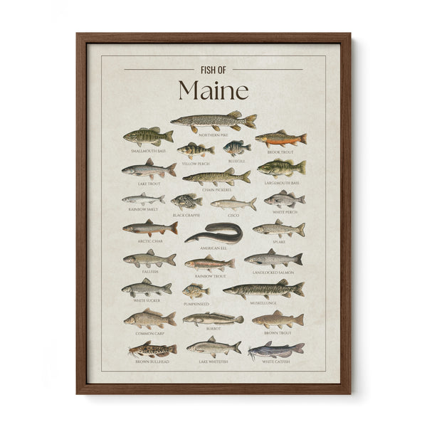 Maine Print