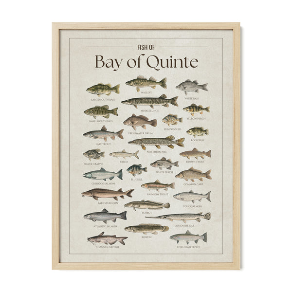 Bay of Quinte Print