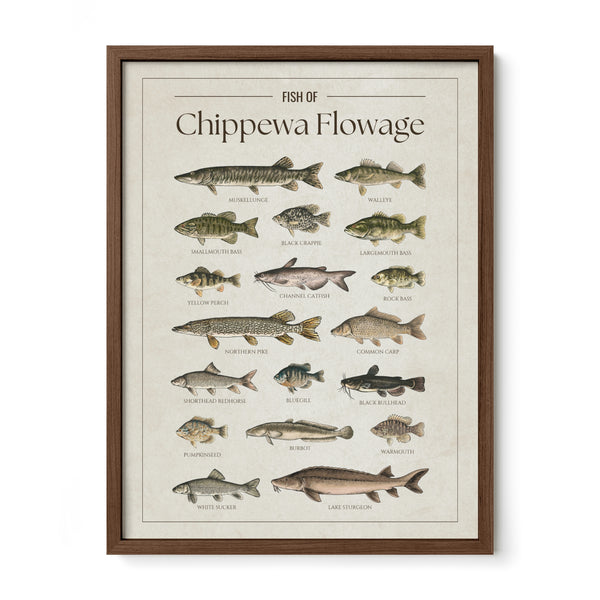 Chippewa Flowage Print