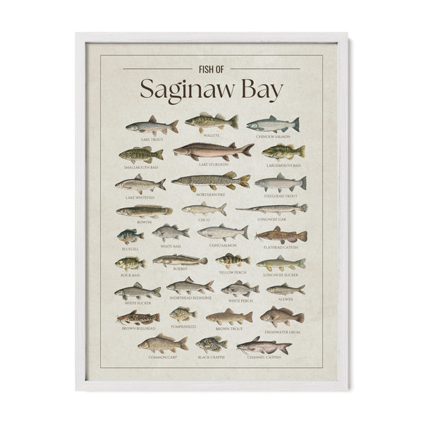 Saginaw Bay Print