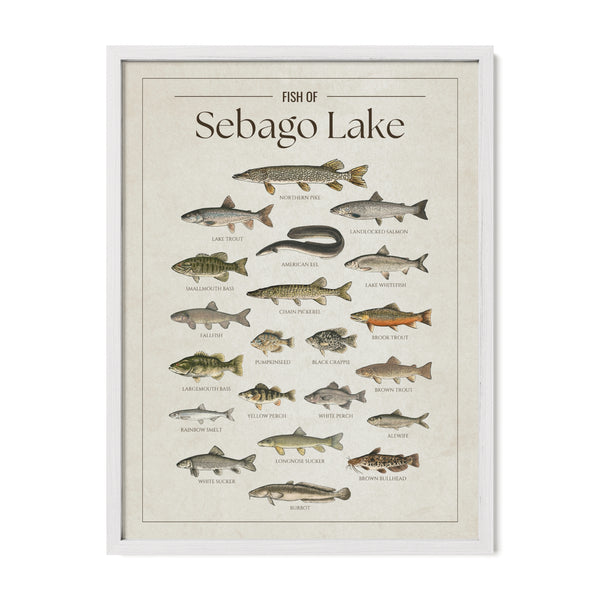 Sebago Lake Print