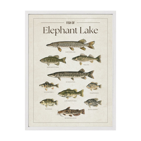 Elephant Lake Print