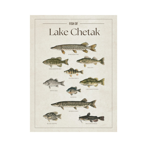 Lake Chetak Print