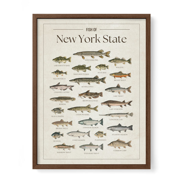 New York State Print