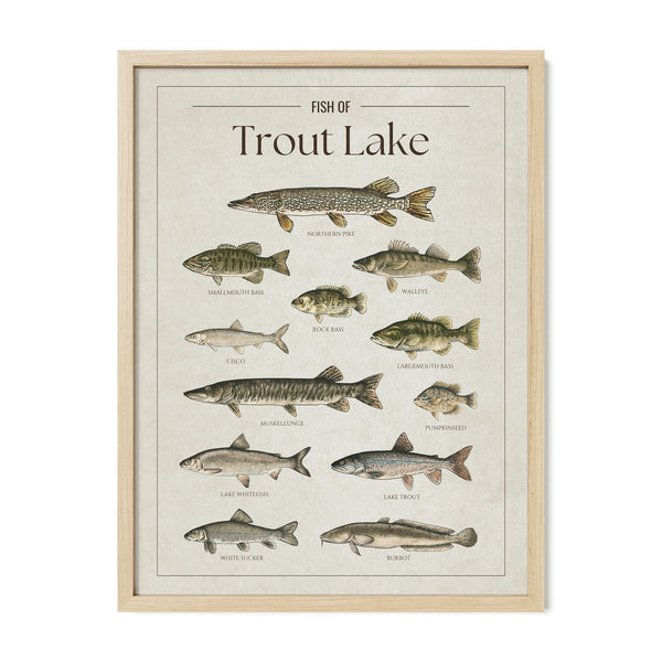 Trout Lake Print