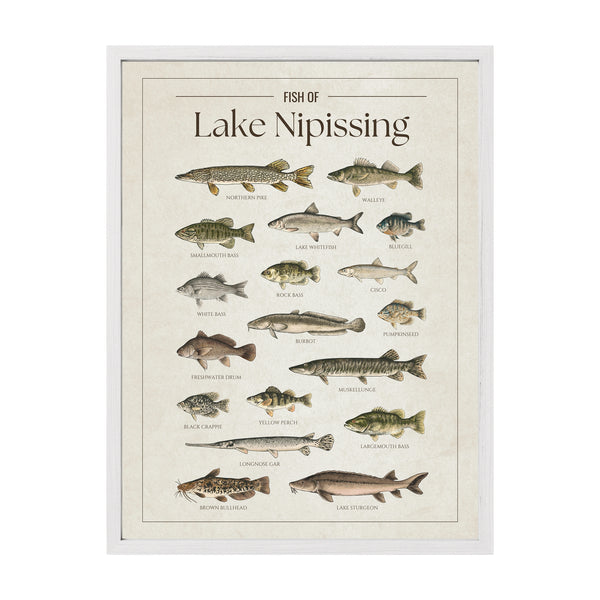 Lake Nipissing Print