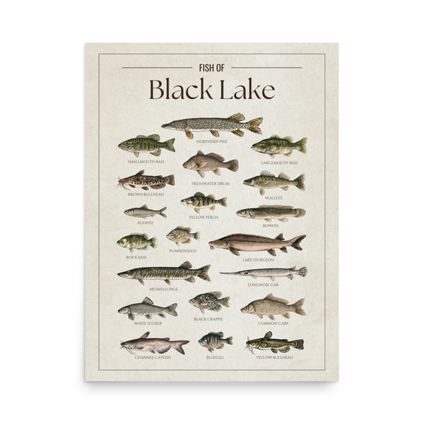 Black Lake Print
