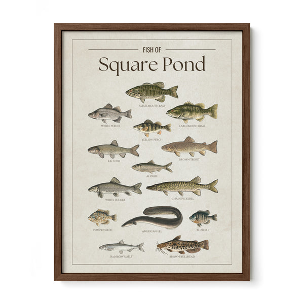 Square Pond Print