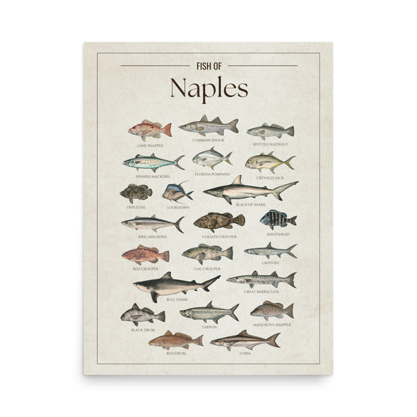 Naples Print