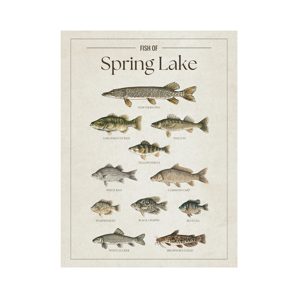 Spring Lake Print