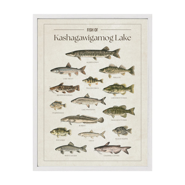 Kashagawigamog Lake Print
