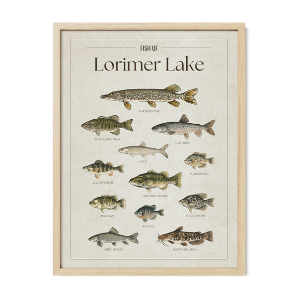 Lorimer Lake Print
