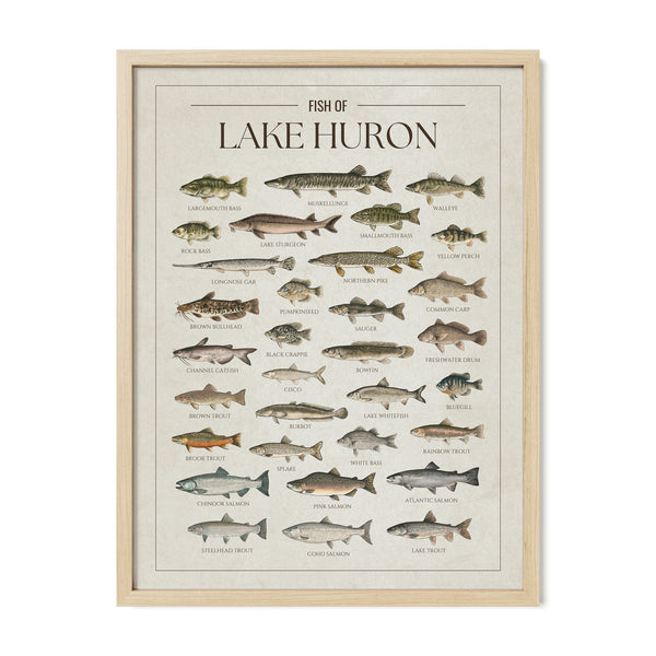Lake Huron Print
