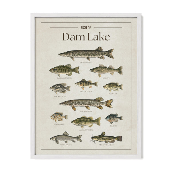Dam Lake Print