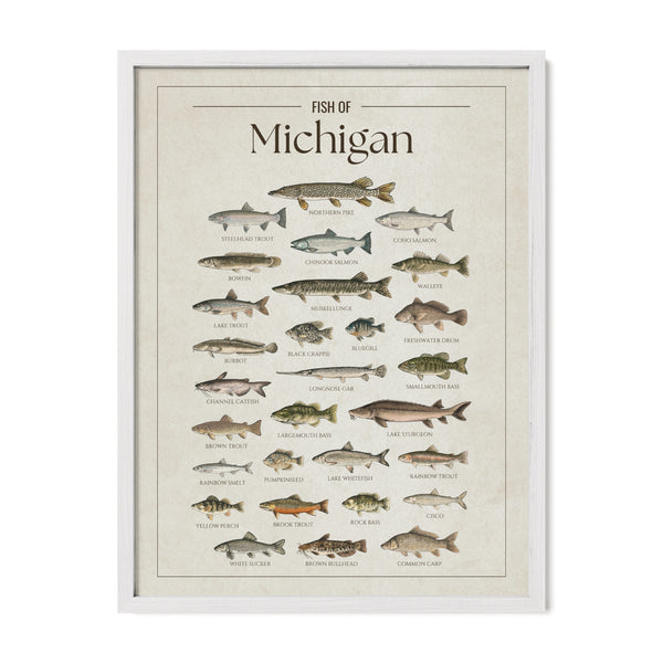 Michigan Print