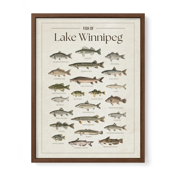 Lake Winnipeg Print