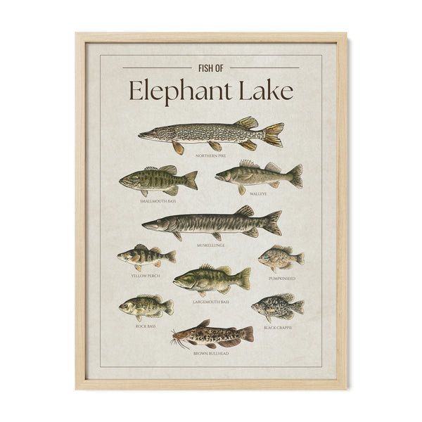 Elephant Lake Print