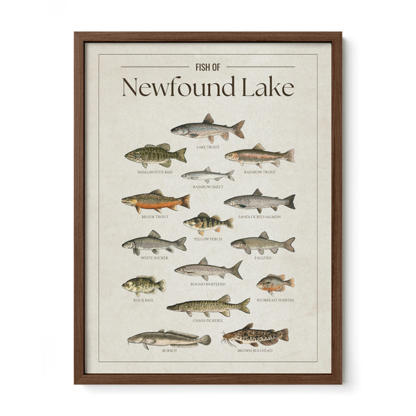 Newfound Lake Print