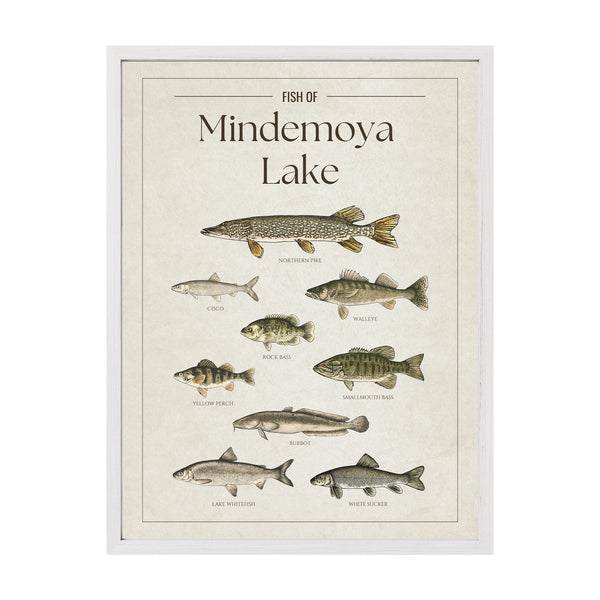 Mindemoya Lake Print