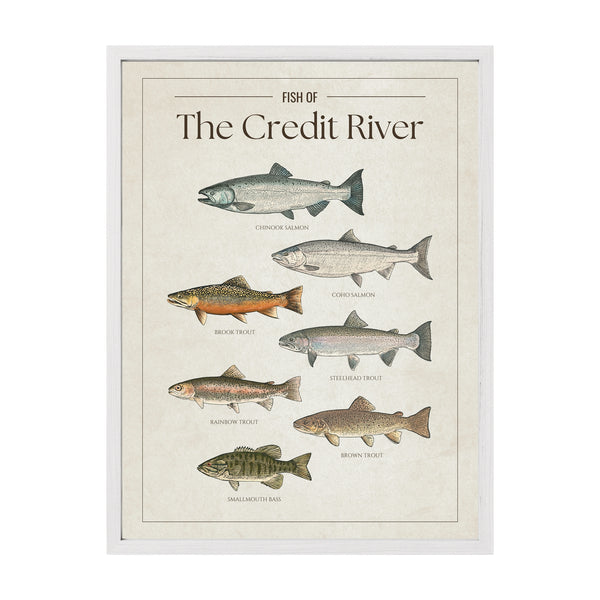 Credit River Print