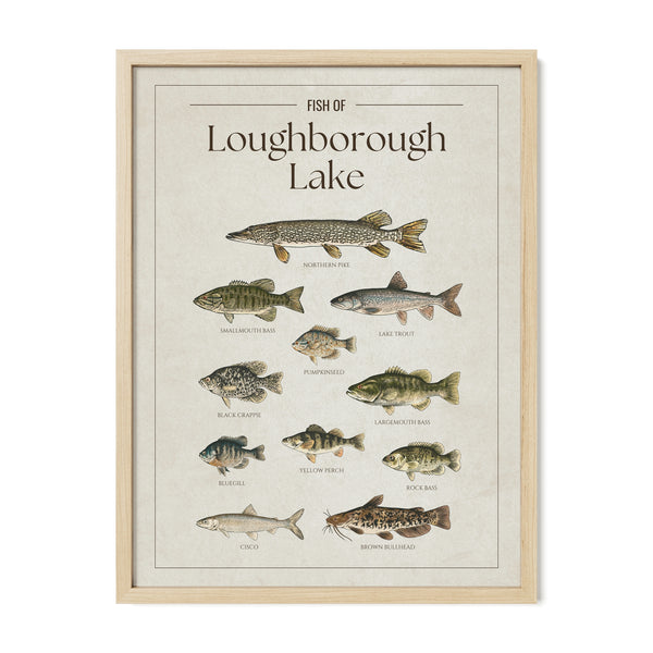 Loughborough Lake Print