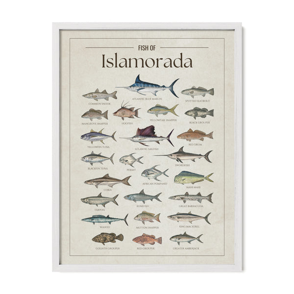 Islamorada Print