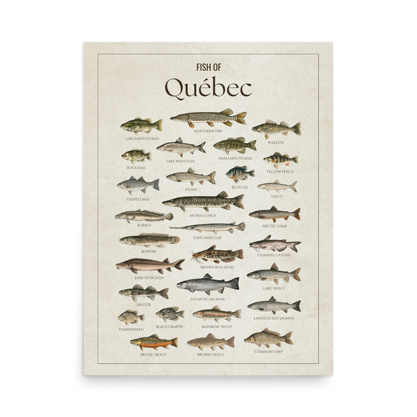 Québec Print