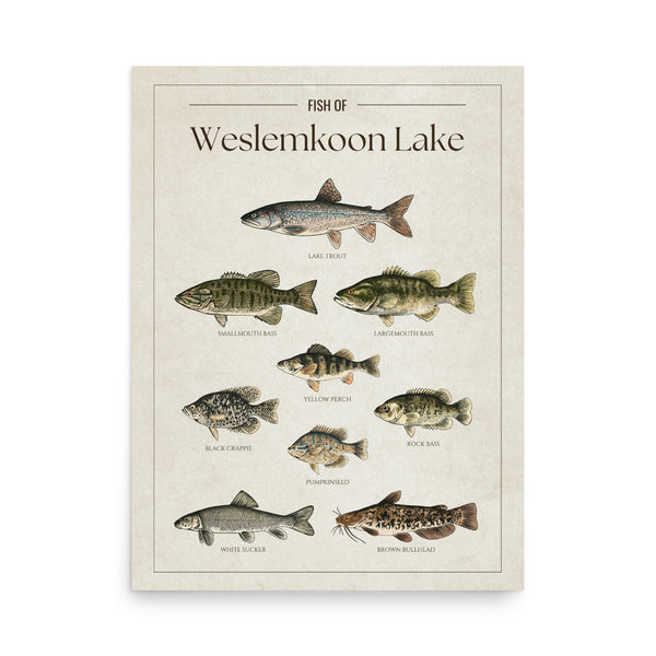 Weslemkoon Lake Print