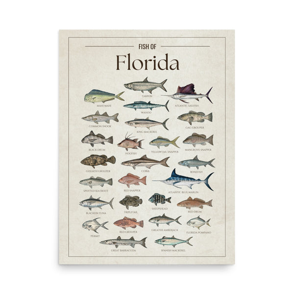 Florida Print