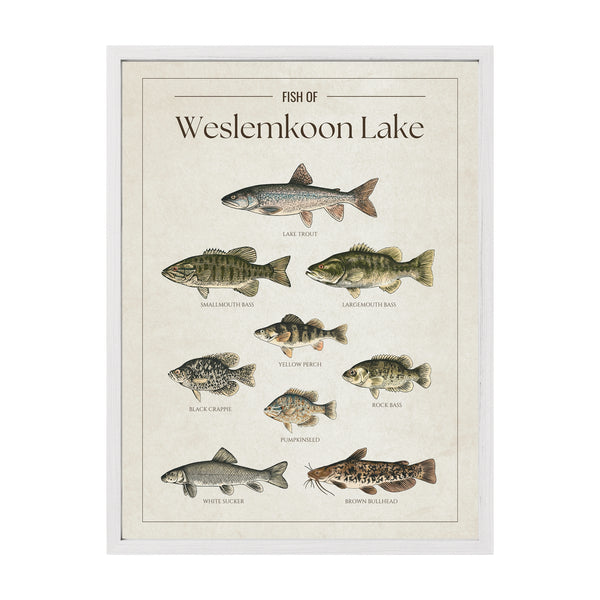 Weslemkoon Lake Print