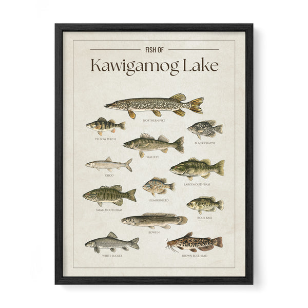 Kawigamog Lake Print