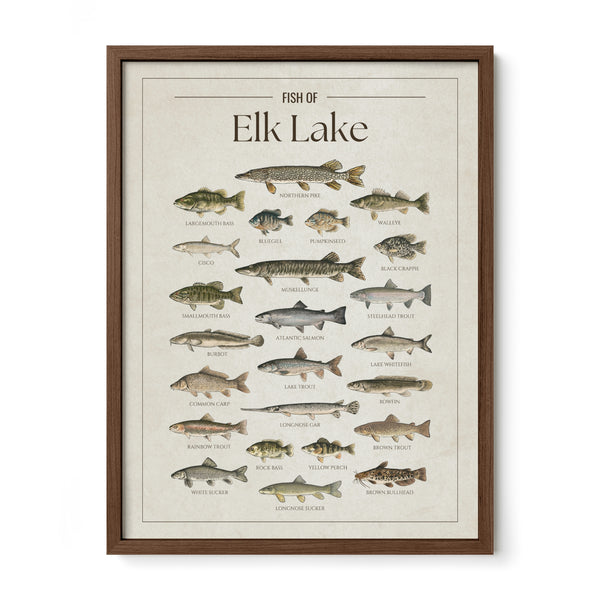 Elk Lake Print
