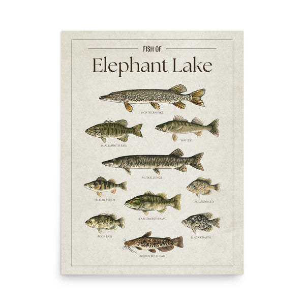 Elephant Lake Print