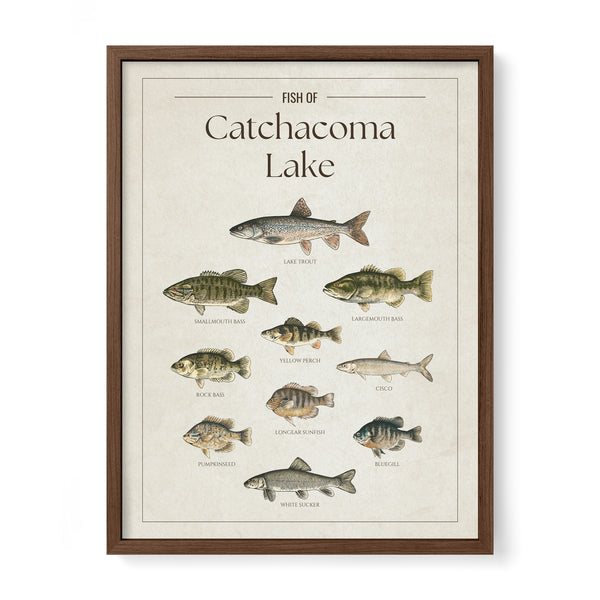 Catchacoma Lake Print