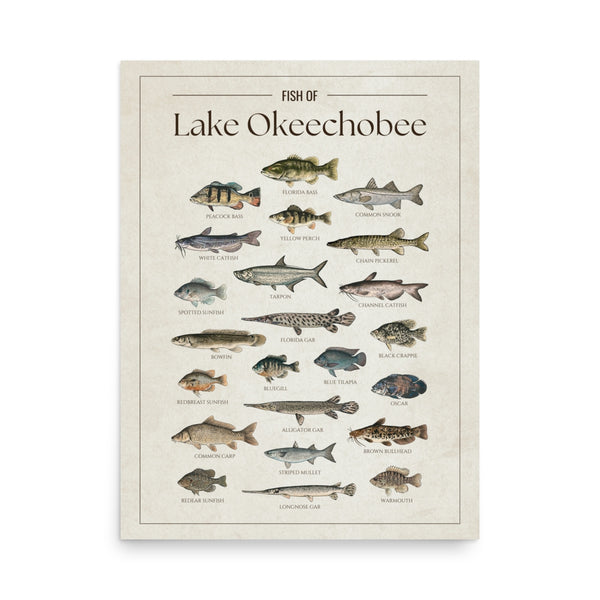 Lake Okeechobee Print