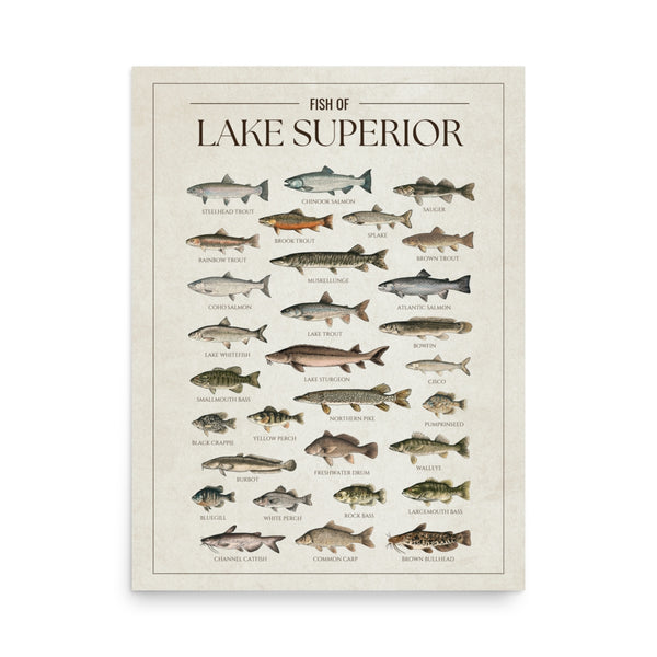 Lake Superior Print