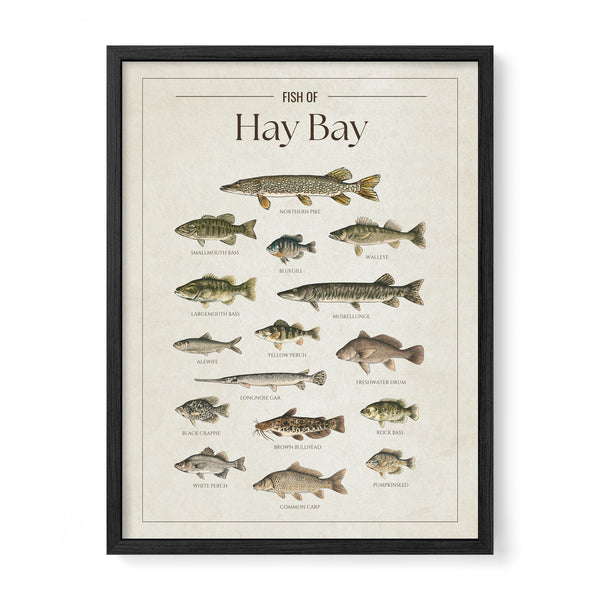Hay Bay Print