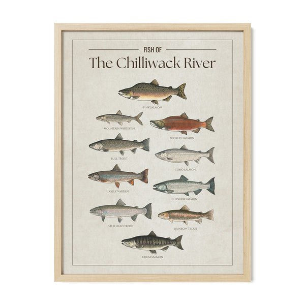 The Chilliwack River Print