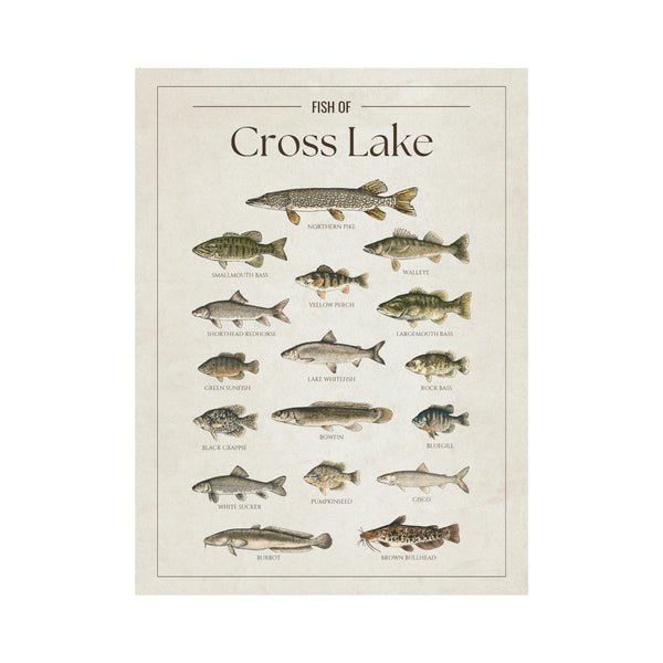 Cross Lake Print