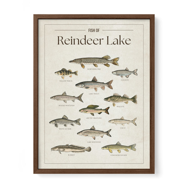 Reindeer Lake Print