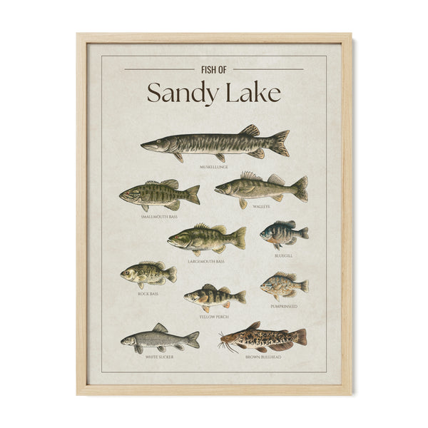 Sandy Lake Print