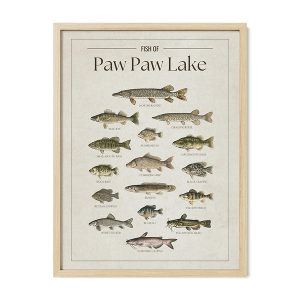 Paw Paw Lake